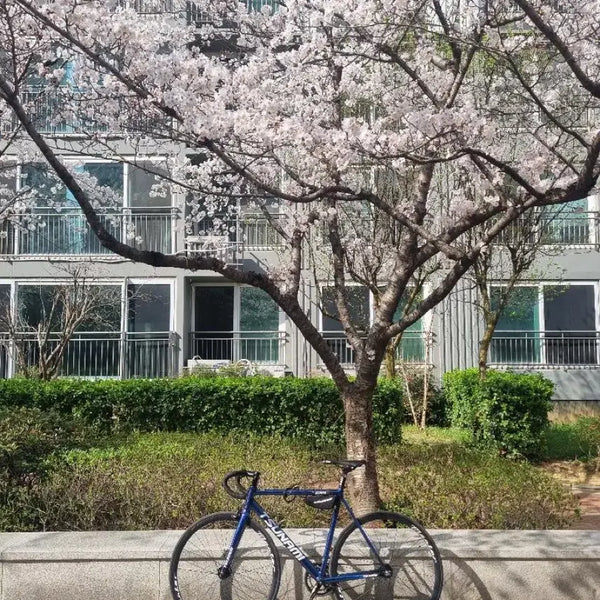 [BUNJANG] TSUNAMI Pixie Bicycle 2023 Navy / TSUNAMI 픽시 자전거 2023년식 네이비색
