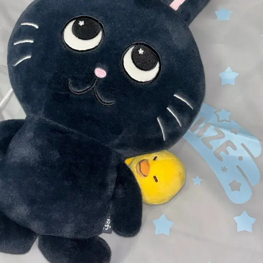 [BUNJANG] RIIZE Wonbin Big Cat Plush 40cm / 라이즈 원빈 대왕 토냥덕 40cm