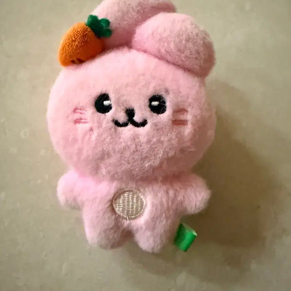 [BUNJANG] fromis_9 Park Ji-won Junie Doll / 프로미스나인 인형 박지원 쥬니
