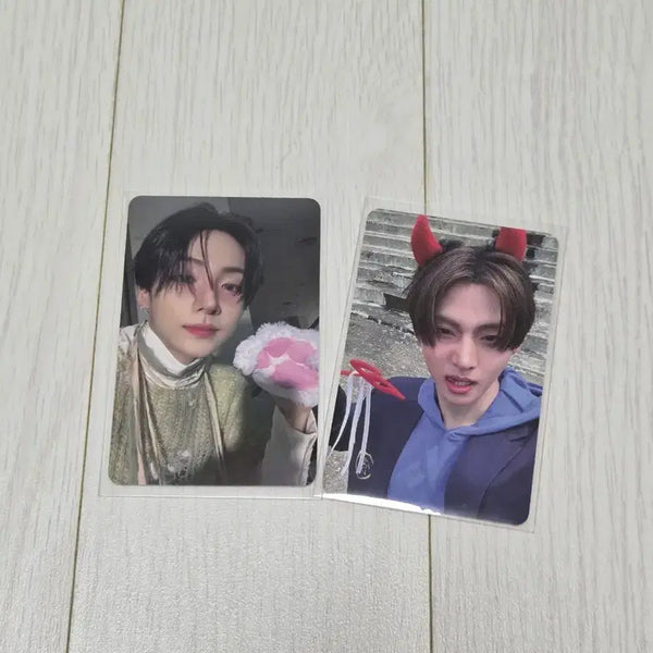 [BUNJANG] Alpha Drive One Ryu The Sun POB Photocard Bundle Set / 알파드라이브원 알디원 상원 미공포 양도. 상원 포카 일괄양도. 악마 쿠마발바닥