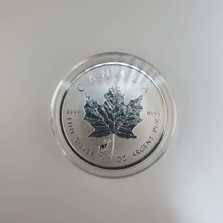 [BUNJANG] 2015 Canada Maple Leaf Silver Coin (Rare) / 캐나다 2015 메이플 은화 양 프리비마크(희귀은화)