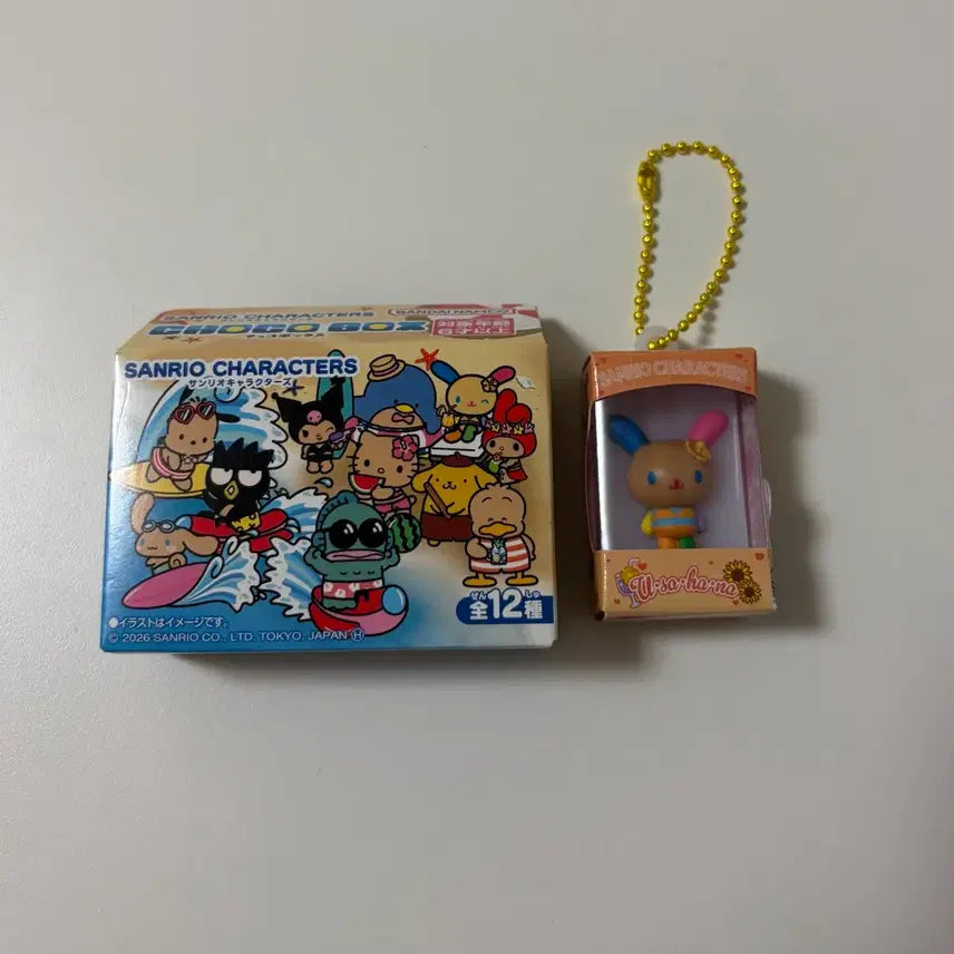 [BUNJANG] Sanrio Tanning Choco Box Usahana / 산리오 초코박스 우사하나 산리오 태닝 초코박스