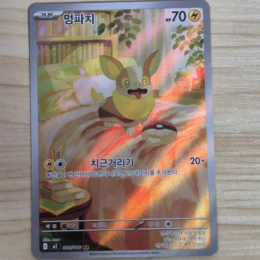 [BUNJANG] Pokemon Card Munkii AR / 자. 포켓몬카드 멍파치 AR