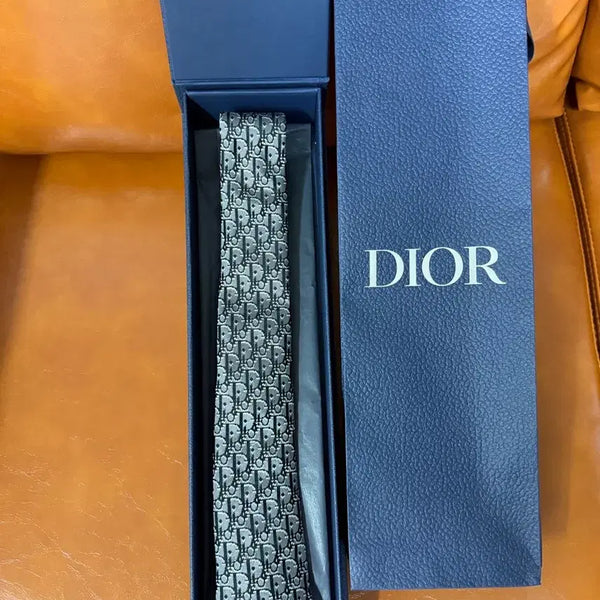[BUNJANG] Dior Necktie / 디올 넥타이 (새상품급)