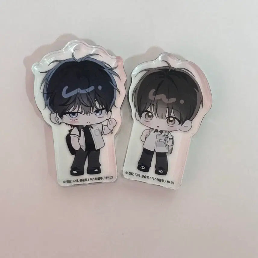 [BUNJANG] Y열침 Acrylic Colot  Bundle Set / 열침 아크릴 코롯토 일괄