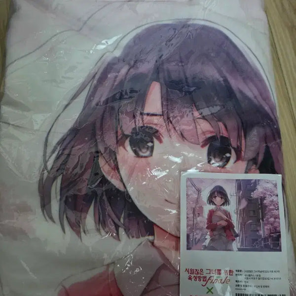 [BUNJANG] Megumi Kato Blanket / 카토 메구미 담요
