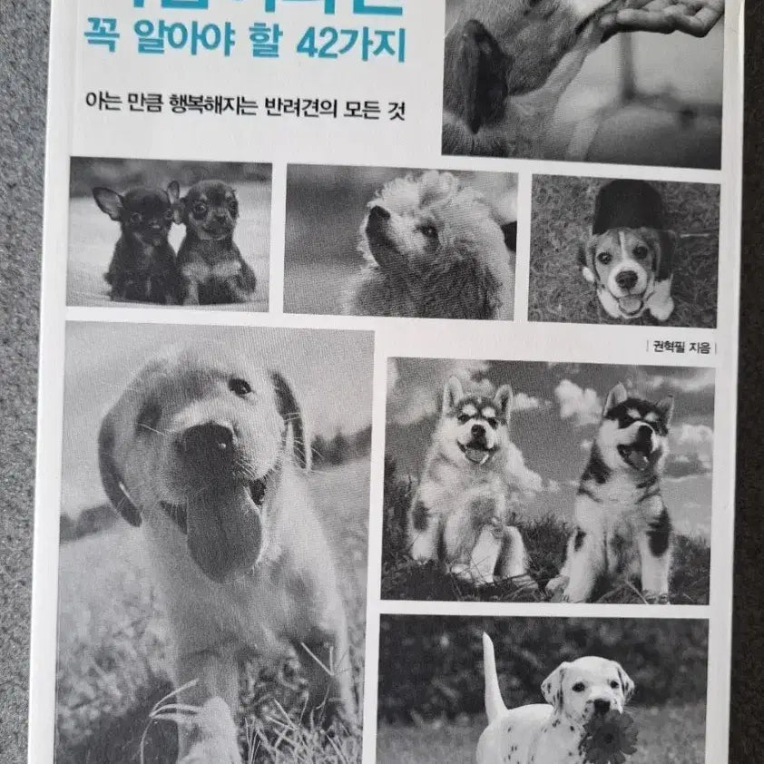 [BUNJANG] 42 Essential Tips for Dog Owners / 서적 반려견을 키우는 사람이라면 꼭 알아야 할 42가지