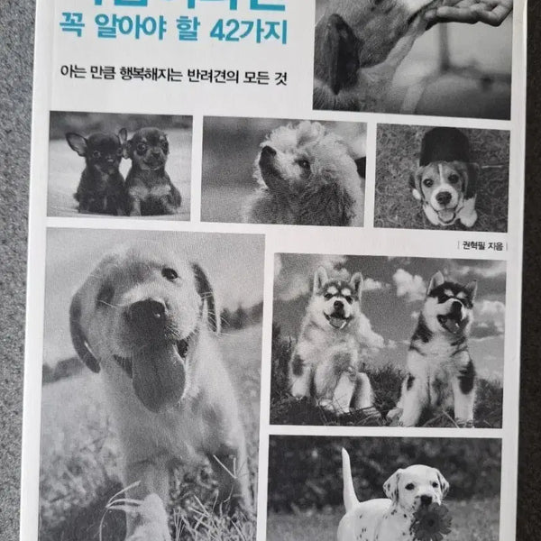 [BUNJANG] 42 Essential Tips for Dog Owners / 서적 반려견을 키우는 사람이라면 꼭 알아야 할 42가지