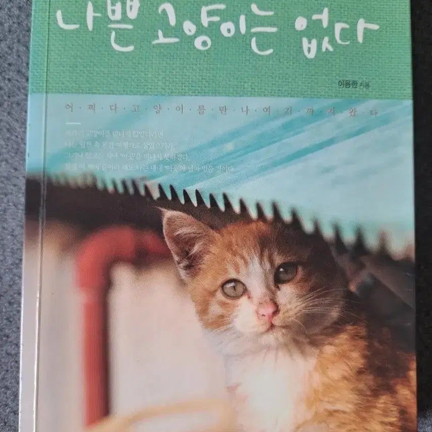[BUNJANG] No Bad Cats Book / 서적 나쁜 고양이 없다
