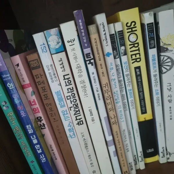 [BUNJANG] Assorted Children's Books and Novels / 책 여러 권 (어린이 동화, 소설 등)