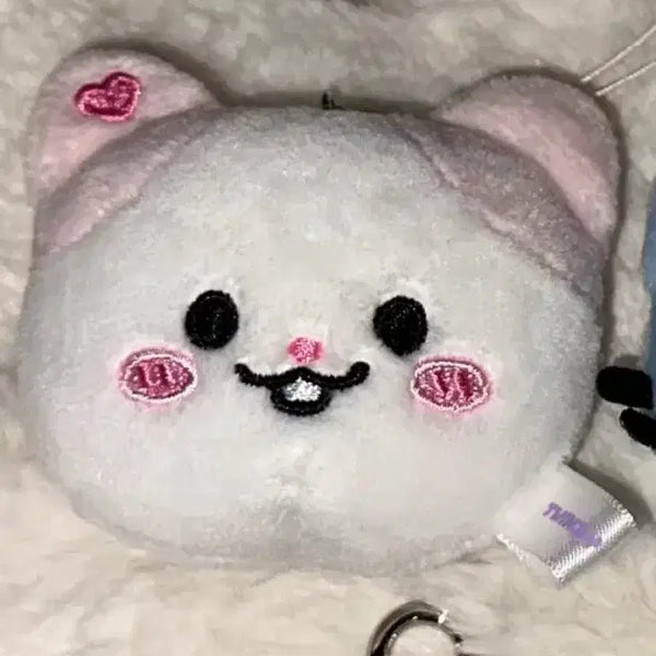 [BUNJANG] ITZY Naong Keyring Doll / (원가 이하) 나옹 키링 인형