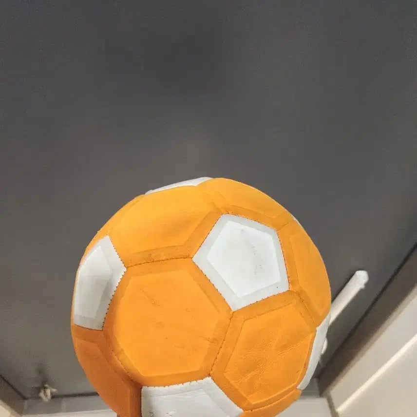 [BUNJANG] Kickerball Training Ball / 키커볼