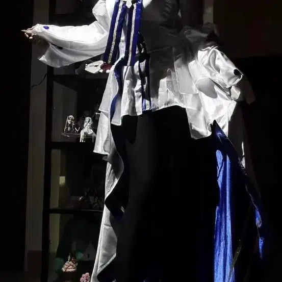[BUNJANG] Alucard Cosplay Full Set (M) / 알퀘이드 코스프레 판매합니다