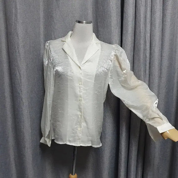 [BUNJANG] Glossy Puff Blouse / 글로시 퍼프 블라우스