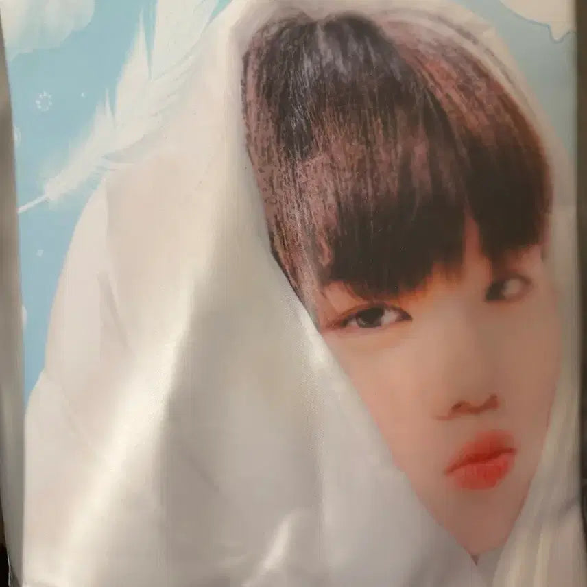 [BUNJANG] Kim Taerae Slogan / 김태래 슬로건 양도