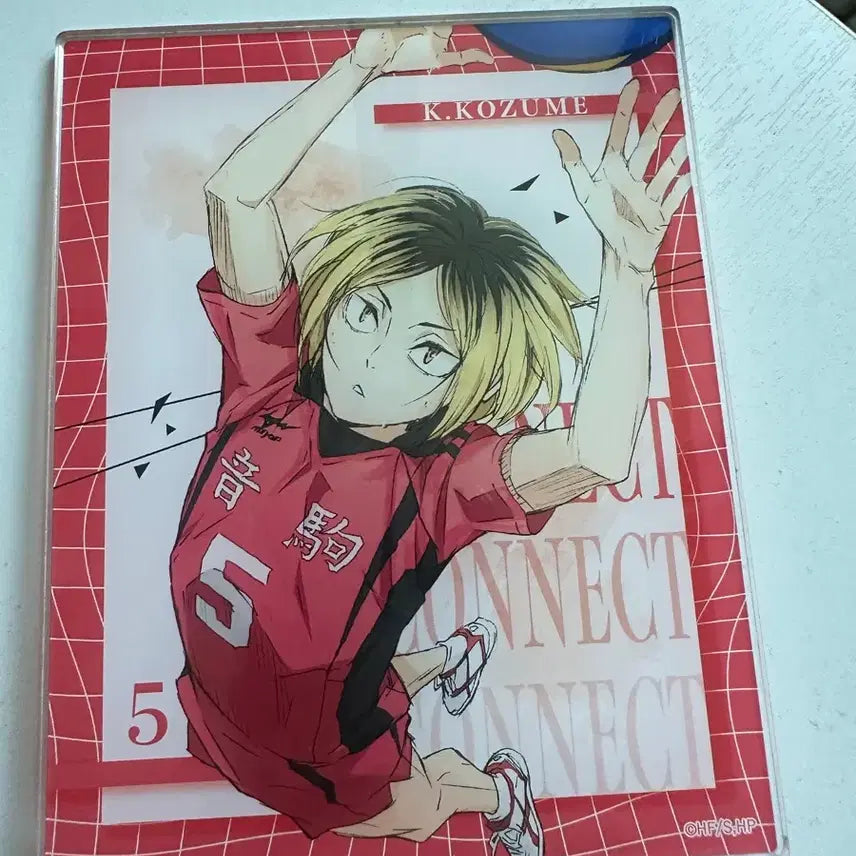[BUNJANG] Kenma Acrylic Stand / 켄마 아크릴