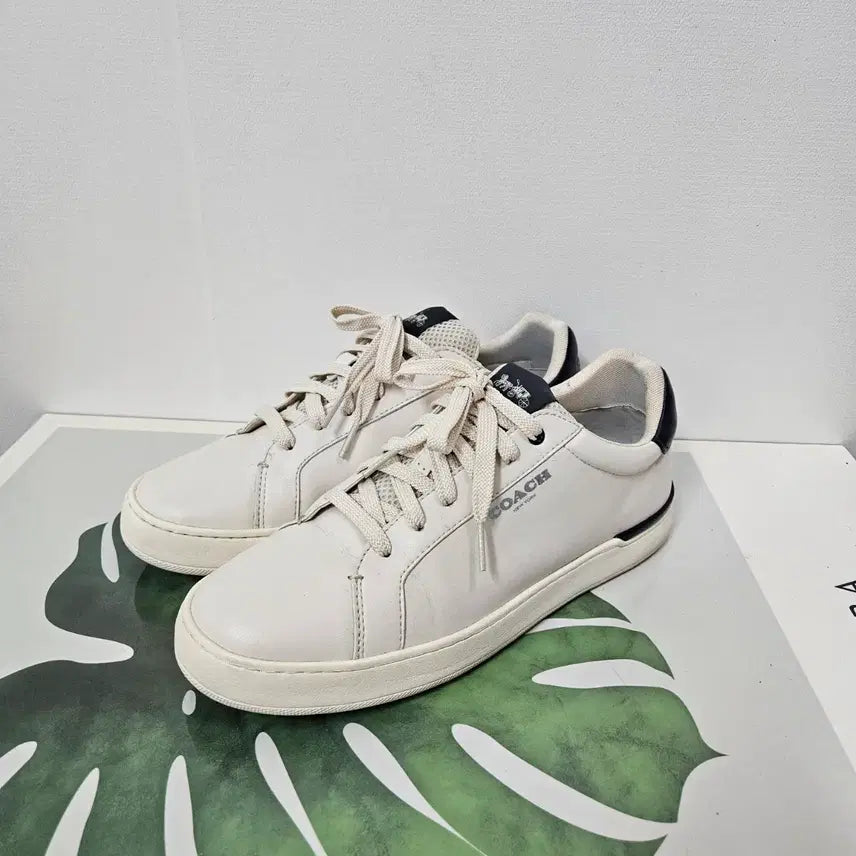 [BUNJANG] Coach Clip Low-Top Sneakers / 270) 코치 클립 로우탑 스니커즈