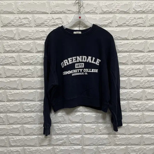 [BUNJANG] Sweatshirt / @555) 맨투맨