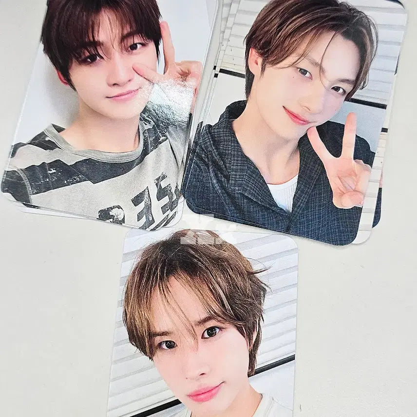 [BUNJANG] TWS Over-høpe D-MACMUC Photocard (POB) / TWS 투어스 영재 지훈 경민 오버드라이브 디마뮤 미공포 판매