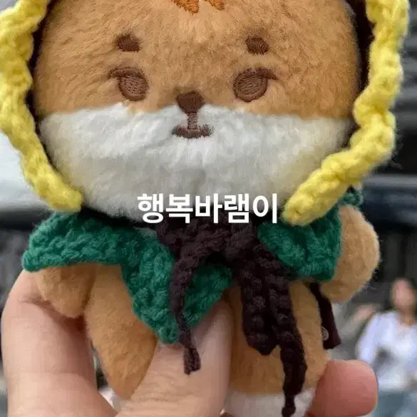 [BUNJANG] Sunflower Bonnet & Cape Set / 해바라기 보닛&케이프 세트