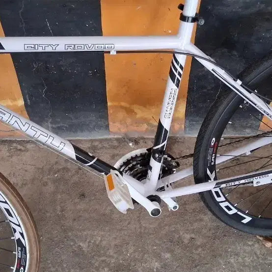[BUNJANG] Road Bike / 로드 자전거