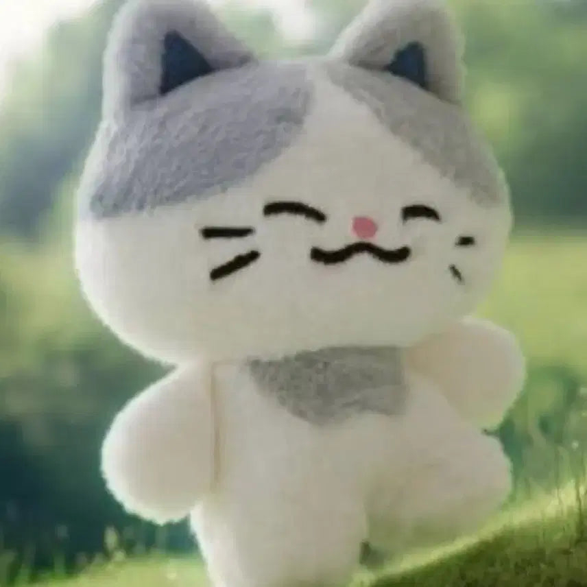 [BUNJANG] NCT DREAM Chenle Lumy Big Plush Doll / 엔시티 드림 드리미즈 천러 러묘 대왕 인형