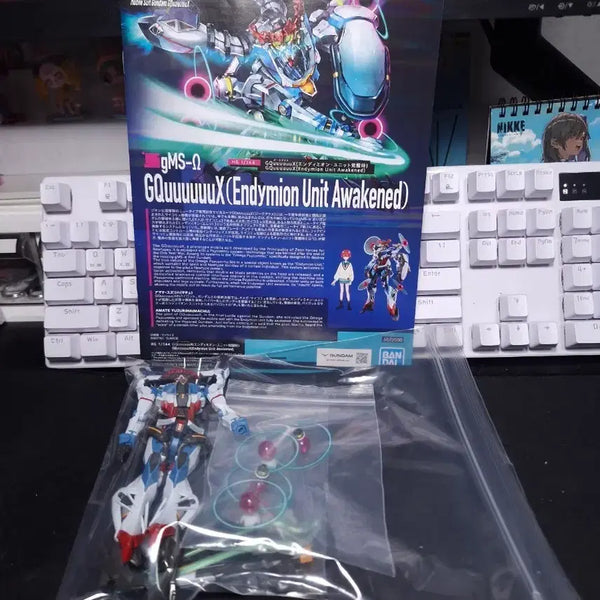 [BUNJANG] HG ZakuAxis Endymion Unit / HG 지쿠악스 엔디미온 유닛