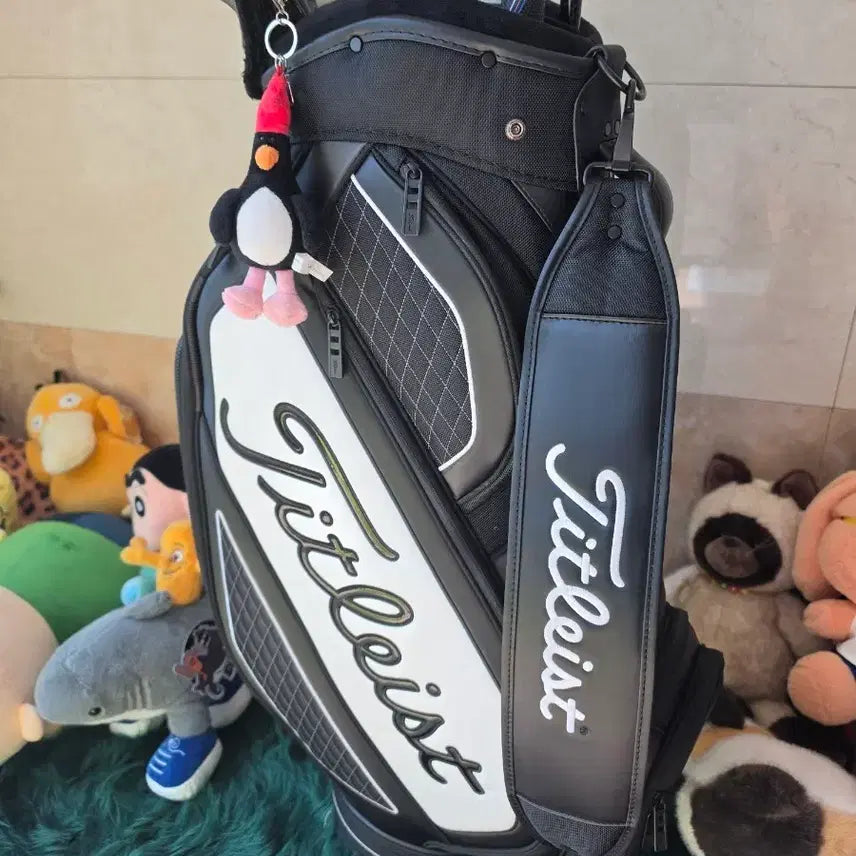 [BUNJANG] Titleist Mid Tour Bag / 타이틀리스트미드투어백s급