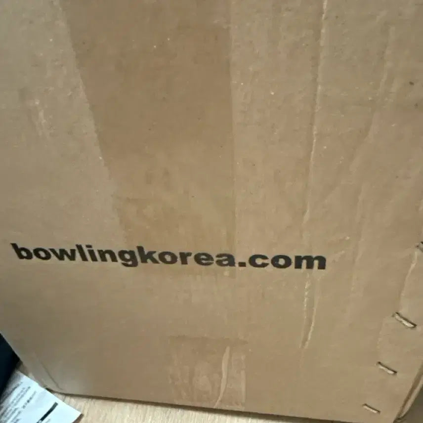 [BUNJANG] Bowling Ball Box / 볼링공