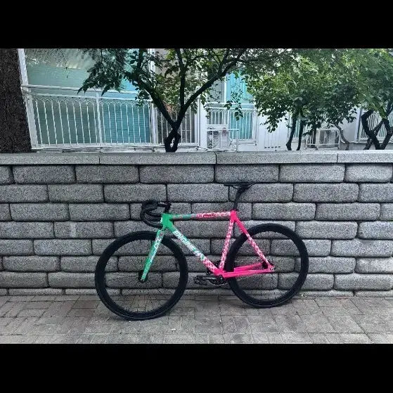 [BUNJANG] Engine 11 DCC Edition Bicycle Frame Set / 엔진 11 dcc 판/대 변색 xxxxx
