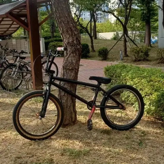 [BUNJANG] Kink BMX Pro-Grade Bicycle / BMX급처