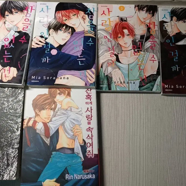 [BUNJANG] Dori-Ben BL Fan Fiction Bundle / bl도리벤회지(커플링 뒤죽박죽),bl,판타지,로맨스 소설,만화책 일괄