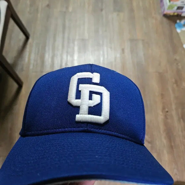 [BUNJANG] NPB Chunichi Dragons Mizuno Pro Cap / NPB 주니치 드래곤즈 미즈노 프로캡 모자팝니다