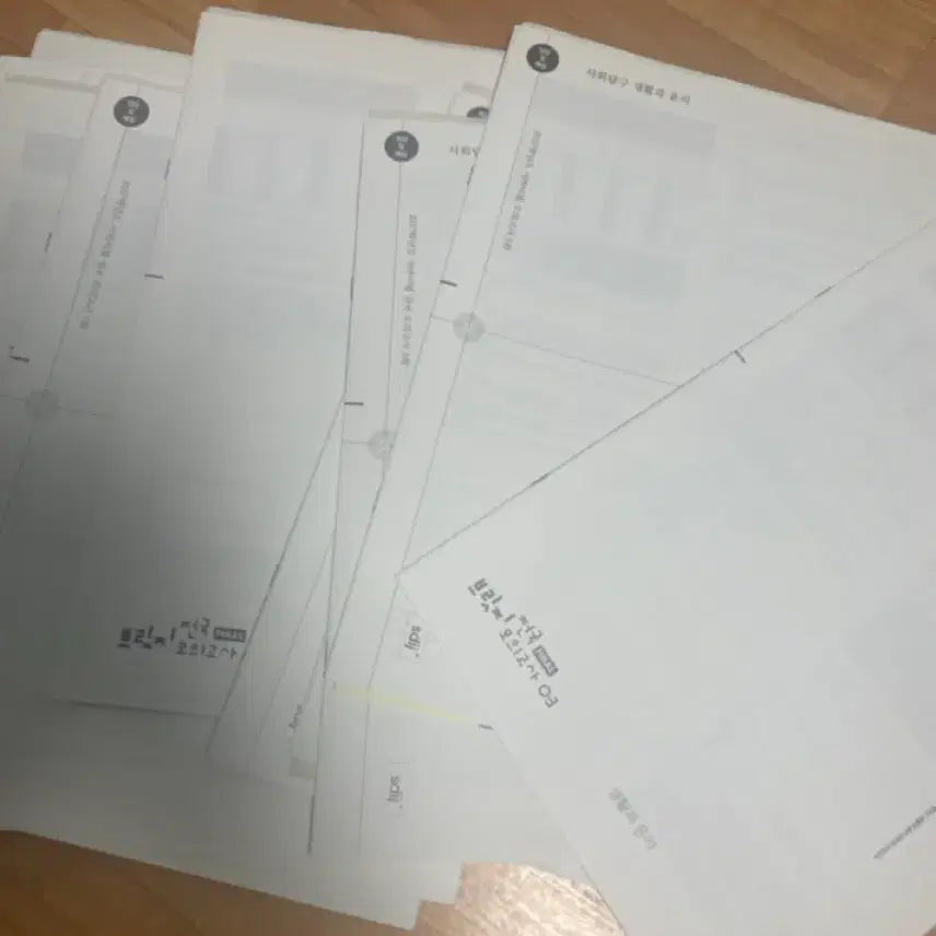[BUNJANG] Sidae Injae Life and Ethics Survival & Bridge Collection (13 Sessions) / 시대인재 생윤 서바(서바이벌)&브릿지 모음 13회차