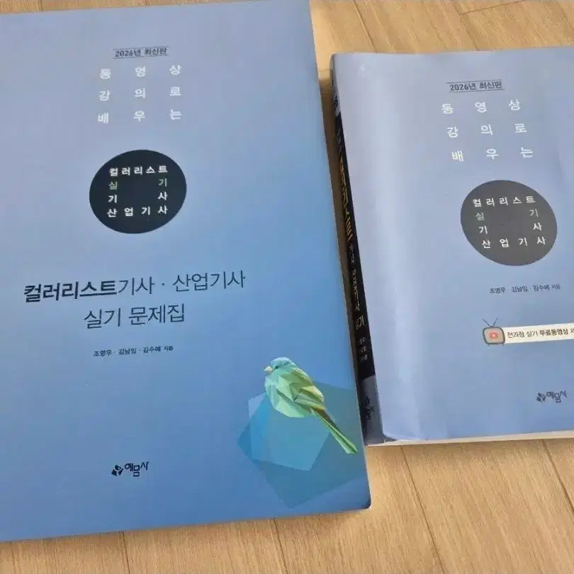 [BUNJANG] Colorist Practical Exam Prep Bundle / 컬러리스트 시험 연습 구성품