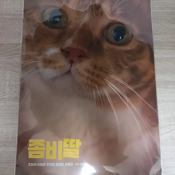 [BUNJANG] Zombie Daughter Aeyongi Poster / 좀비딸 애용이 포스터