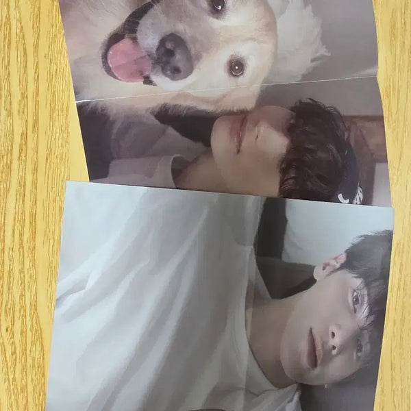 [BUNJANG] TXT Yeonjun Beomgyu Poster / 투모로우바이투게더 포스터 수빈 강태현