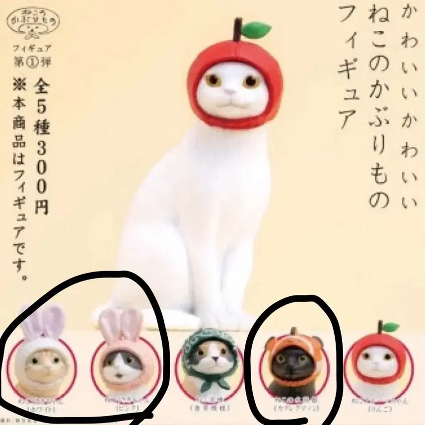 [BUNJANG] Kitan Club Cat with Hat Gacha (3 Types Bundle) / (3종일괄)키탄클럽 모자 쓴 고양이 가챠