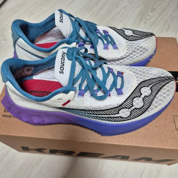[BUNJANG] Saucony Endorphin Pro 4 Running Shoes / (260)  써코니 엔돌핀 프로 4