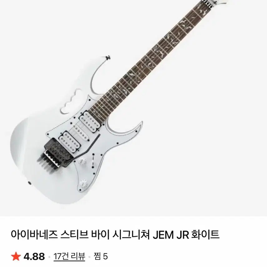 [BUNJANG] Ibanez Electric Guitar / 일렉기타 팝니다 아이바네즈