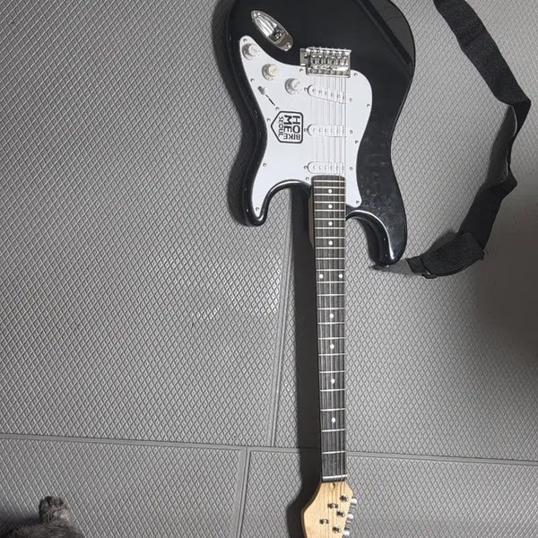 [BUNJANG] Beginner Electric Guitar / 입문용 일렉기타