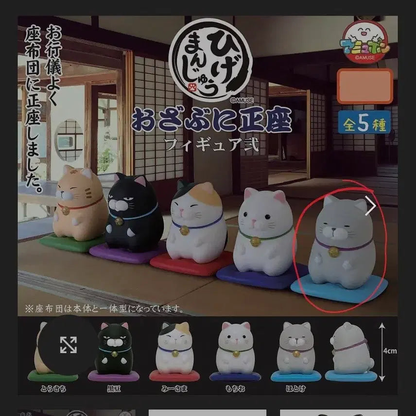 [BUNJANG] Amuse Higemanju Cat Figure Gacha / amuse 어뮤즈  히게만쥬 아뮤펀 고양이 피규어 가챠