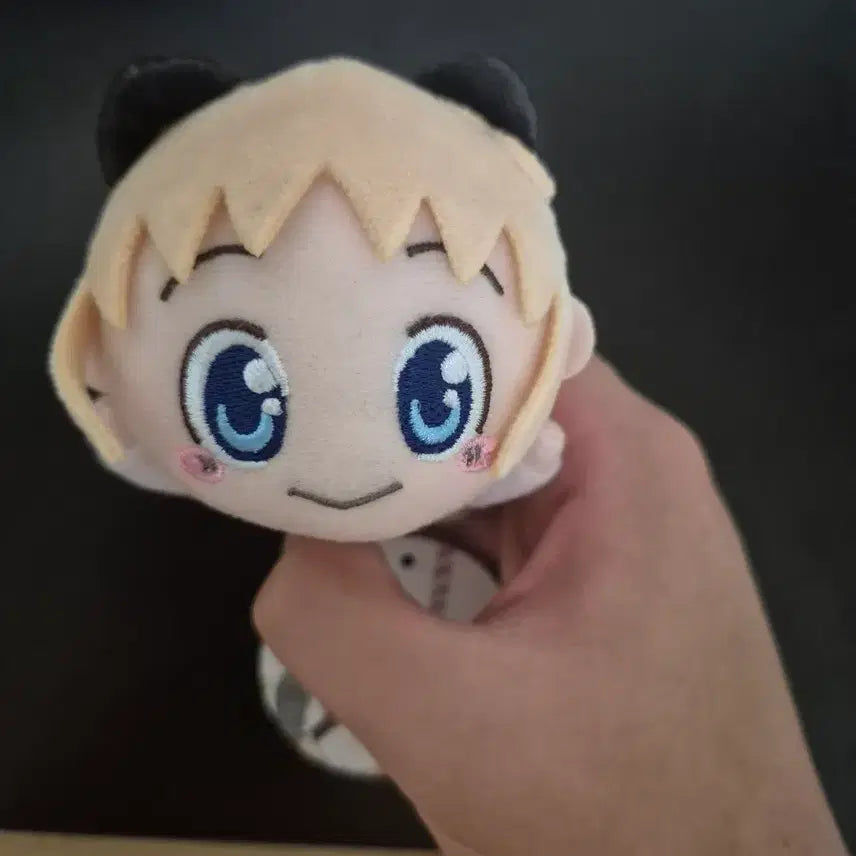 [BUNJANG] Hakase Ningyo Plush / 일상 아라이케이이치 하카세 인형