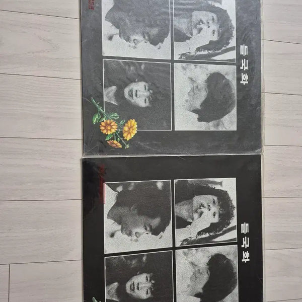 [BUNJANG] Deulgukhwa 1st Album LP First Press Bundle Set / 미개봉 개공 들국화 1집 LP 초판 2장 일괄 배송비포함