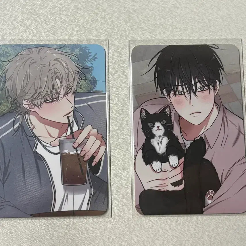 [BUNJANG] Water's Night Collection Special Photocard Bundle Set / 물가의 밤 컬렉션 스페셜 포카 일괄 양도