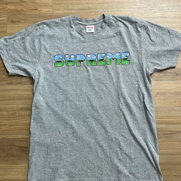 [BUNJANG] Supreme Mario T-Shirt / 슈프림 마리오 L