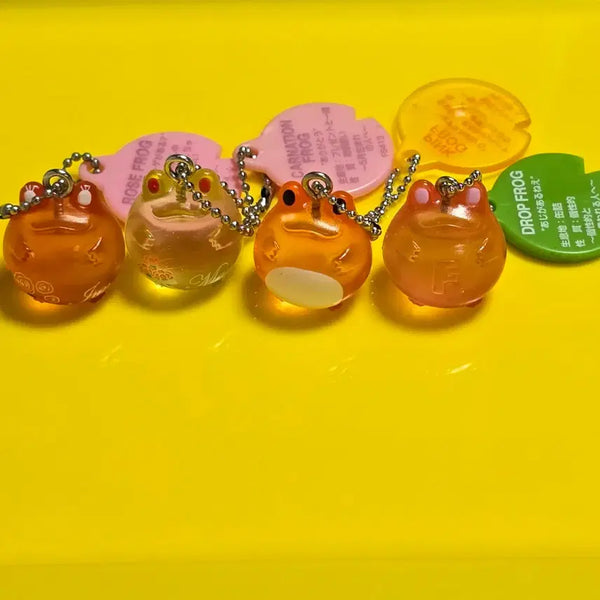 [BUNJANG] FrogStyle Rare Carnation Flower Transparent Keychain Bundle Set / 프로그스타일 (레어 )( 희귀 )장미  카네이션  꽃 프로그스타일 고전 투명  키링 일괄