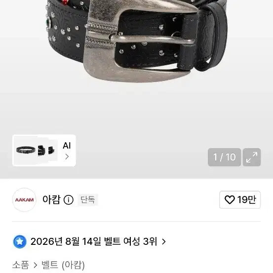 [BUNJANG] Arc'teryx Gem Stud Leather Belt Black / 아캄 젬 스터드 레더 벨트 블랙
