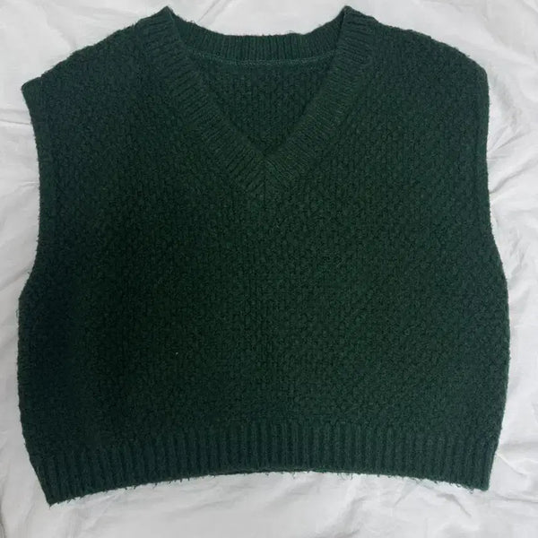 [BUNJANG] From Beginning Knit Vest / 프롬비기닝 니트 조끼