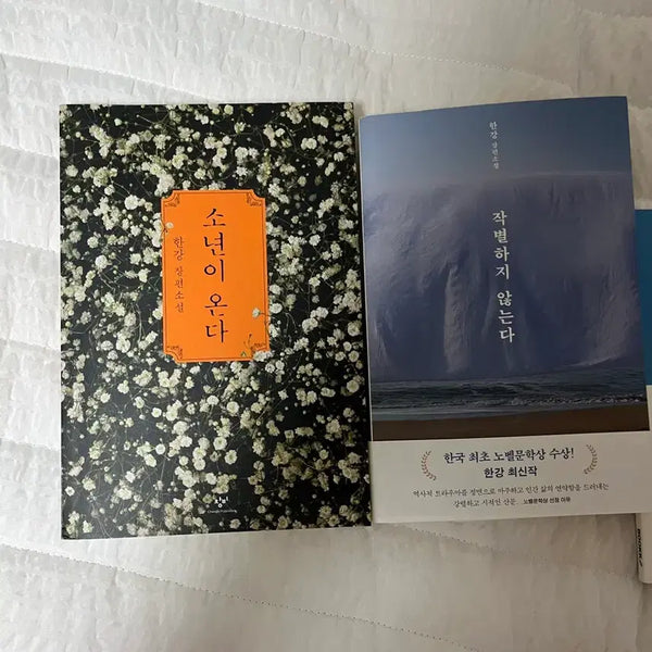 [BUNJANG] Han Kang "Boy Comes / 한강작가 소년이온다,작별하지 않는다